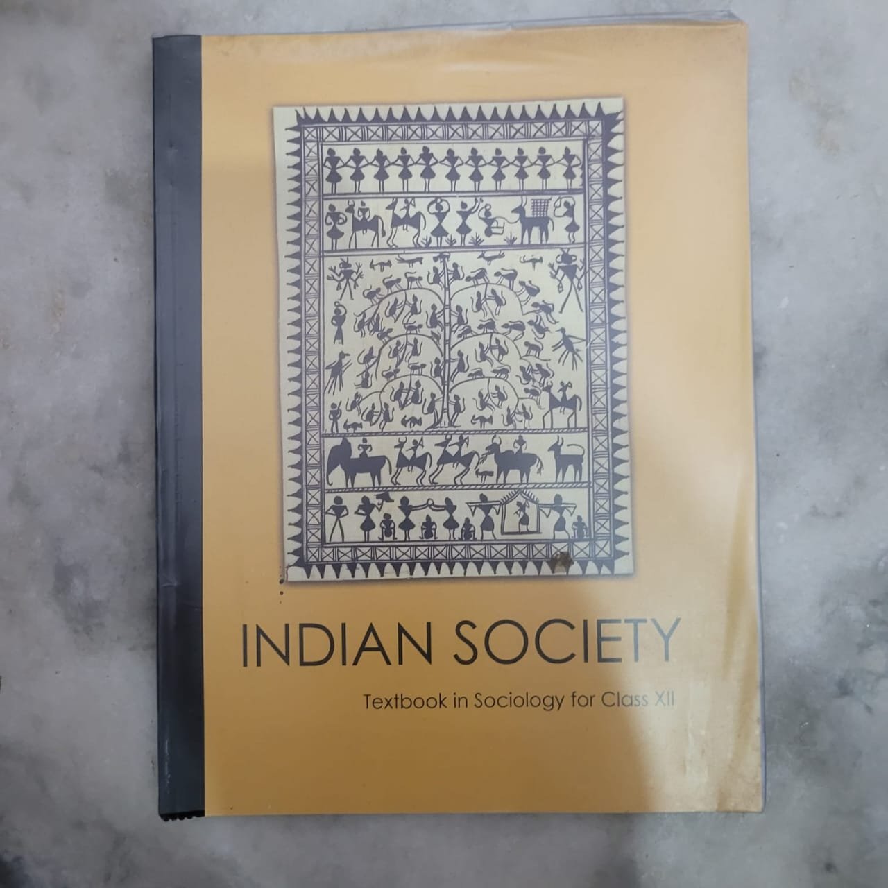 INDIAN SOCIETY CLASS 12TH